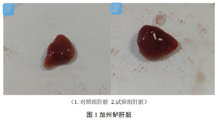 博猫游戏