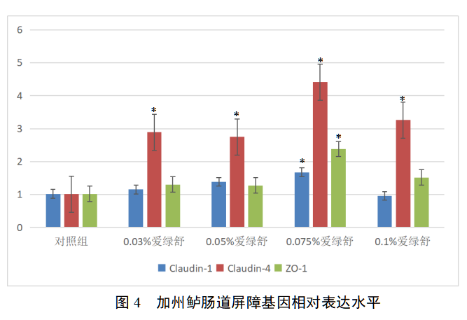 博猫游戏