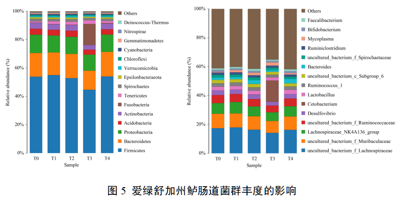 博猫游戏