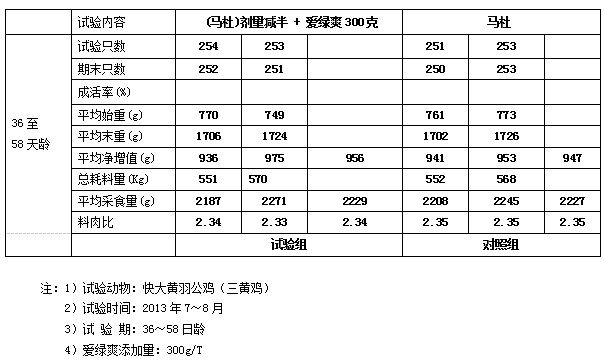 博猫游戏