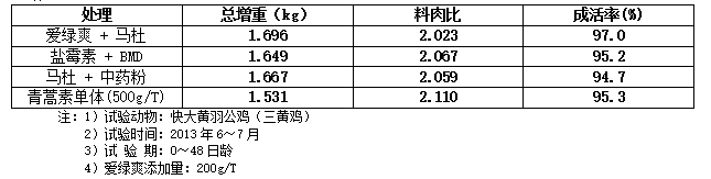 博猫游戏