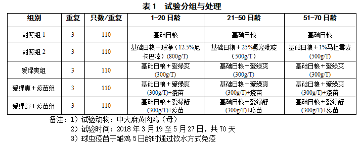 博猫游戏