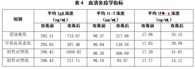博猫游戏