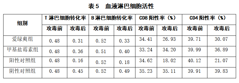 博猫游戏