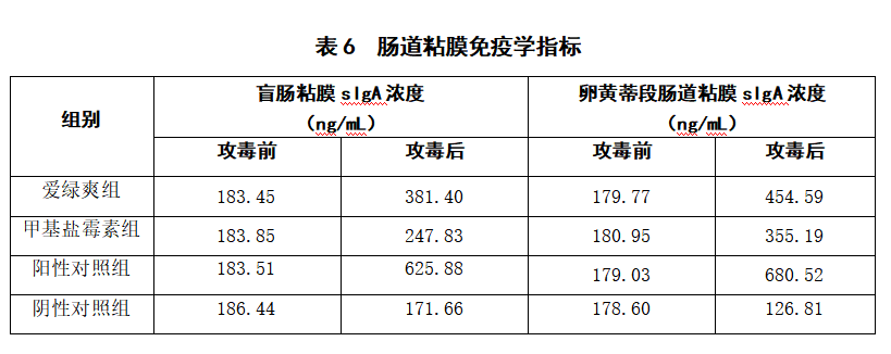 博猫游戏