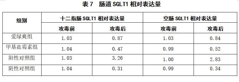 博猫游戏