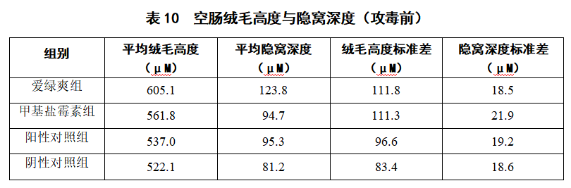 博猫游戏