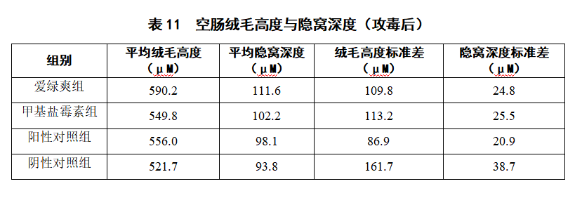 博猫游戏