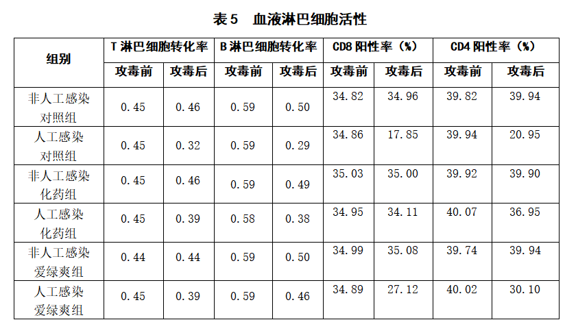 博猫游戏