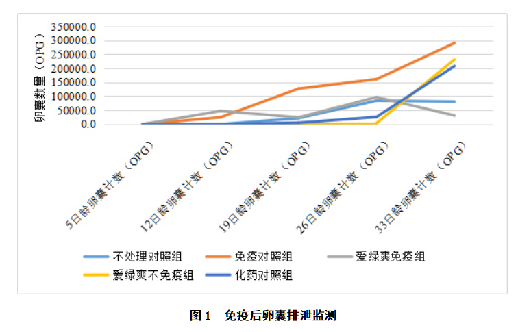 博猫游戏