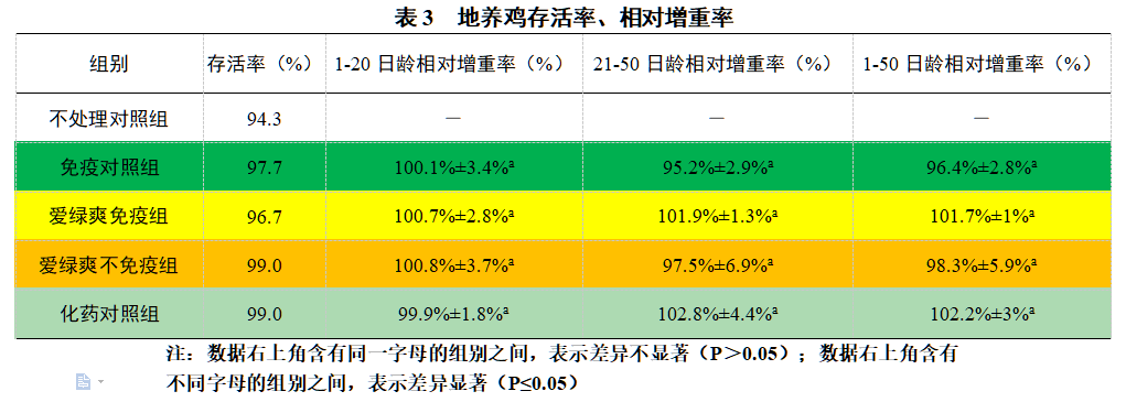 博猫游戏