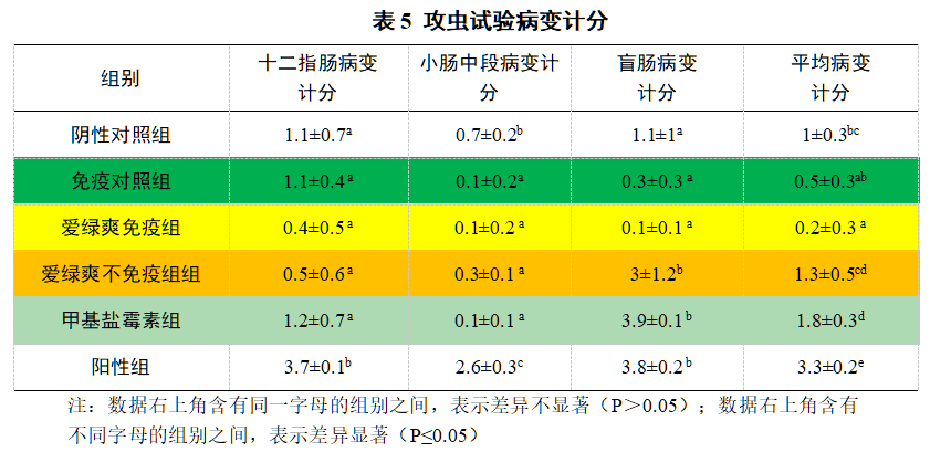 博猫游戏