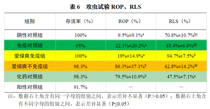 博猫游戏