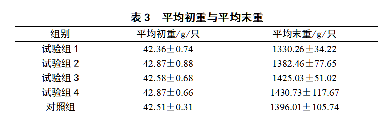博猫游戏