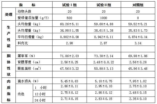 博猫游戏