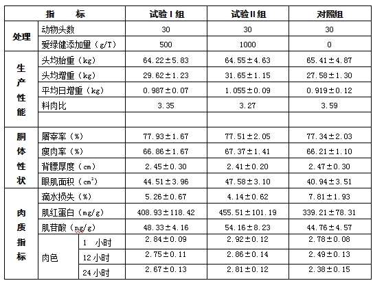 博猫游戏