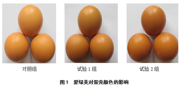 博猫游戏