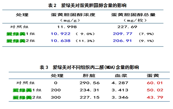 博猫游戏