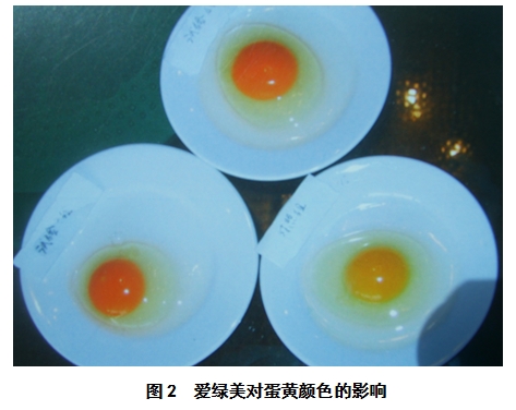 博猫游戏