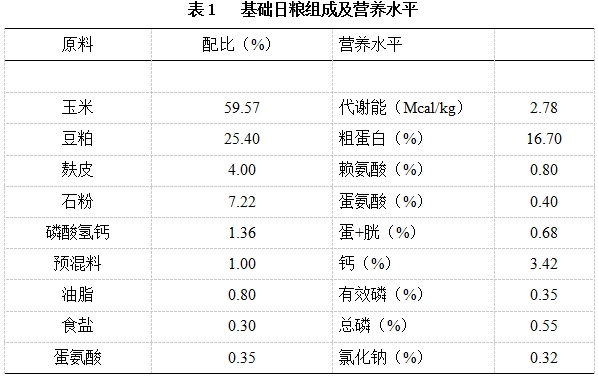 博猫游戏