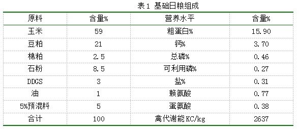 博猫游戏