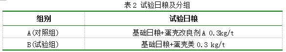 博猫游戏