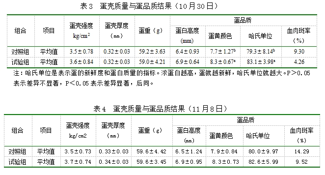 博猫游戏