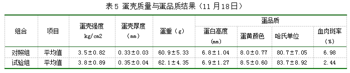 博猫游戏