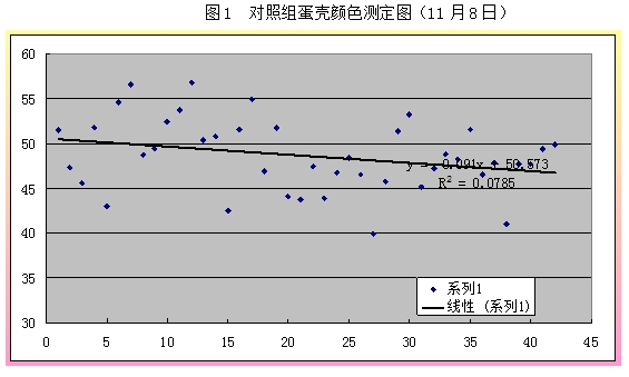 博猫游戏