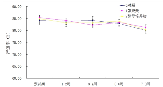 博猫游戏