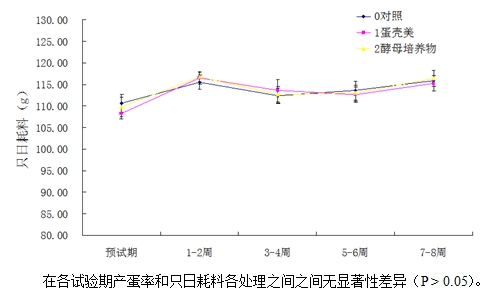 博猫游戏