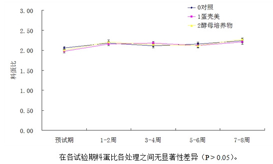 博猫游戏
