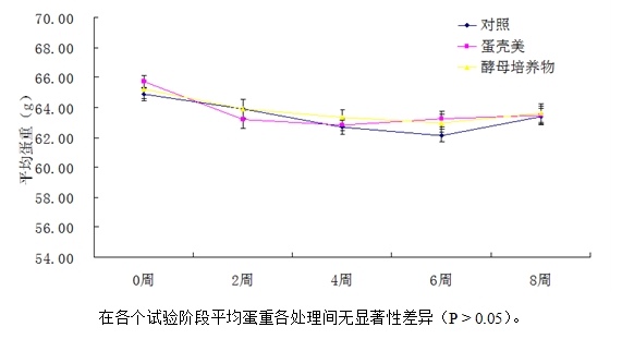 博猫游戏