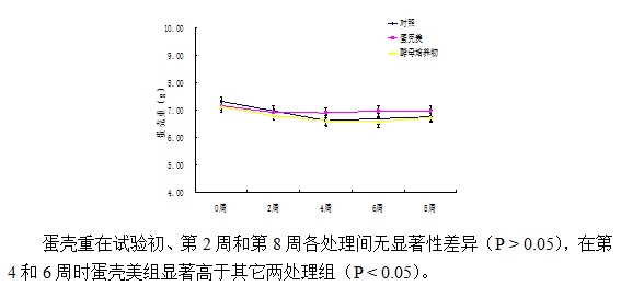 博猫游戏