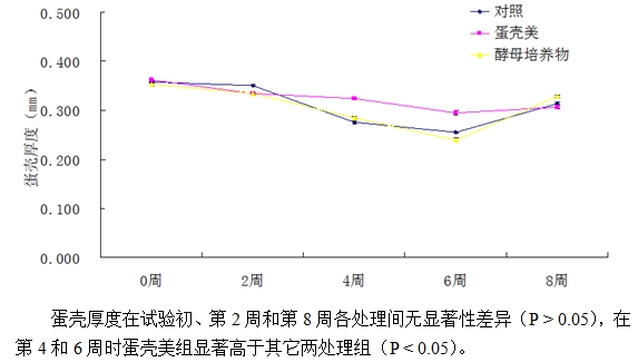博猫游戏