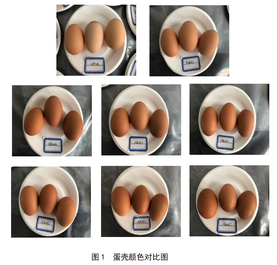 博猫游戏·(中国)官网登录入口