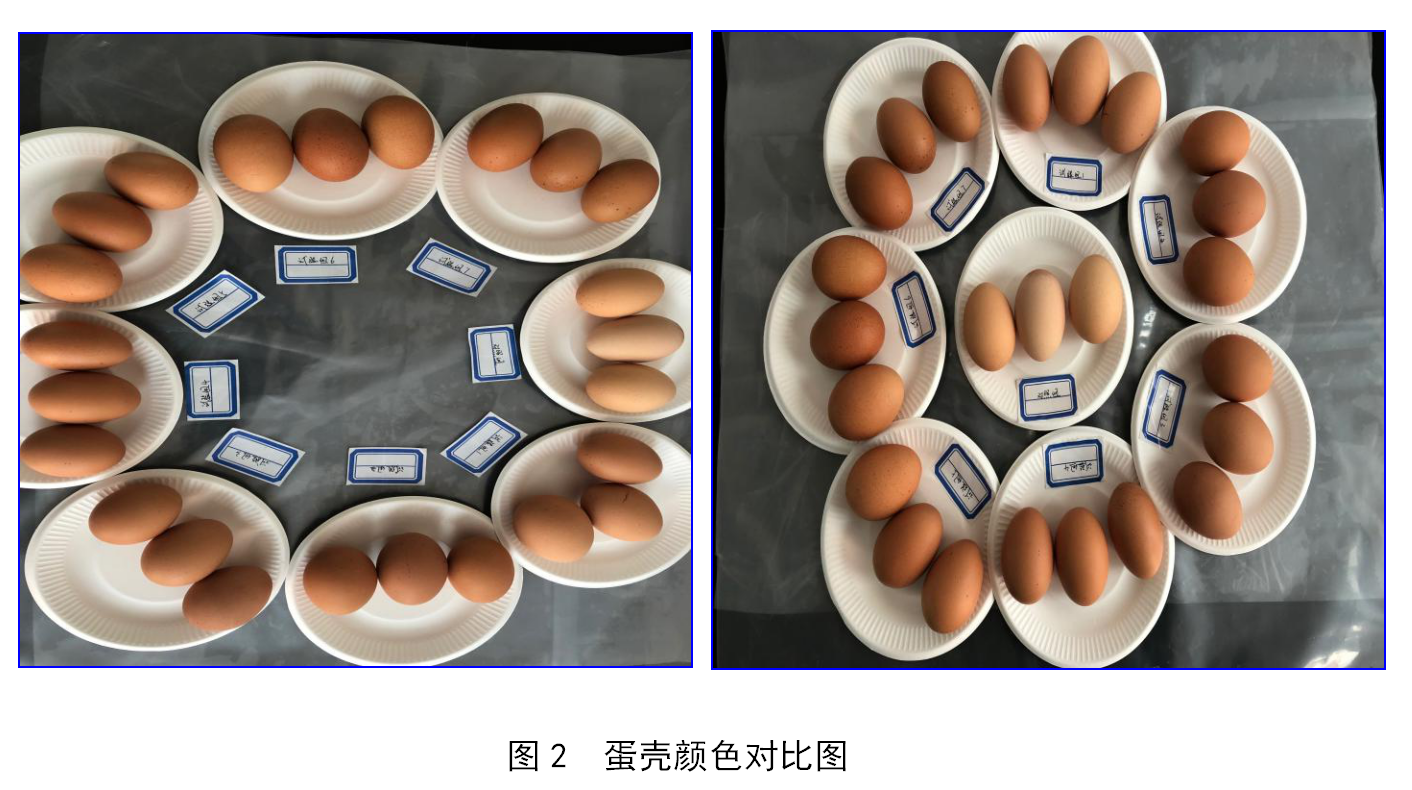 博猫游戏·(中国)官网登录入口