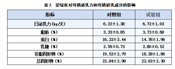 博猫游戏