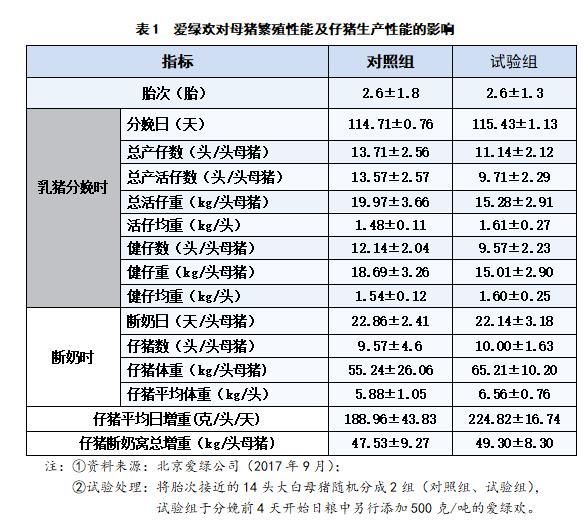 博猫游戏