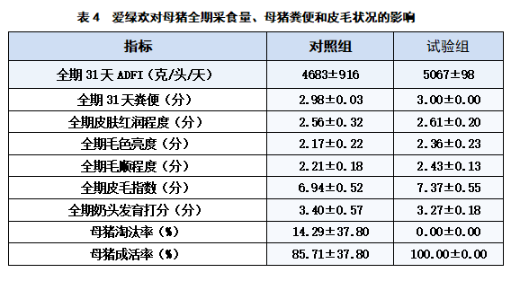 博猫游戏