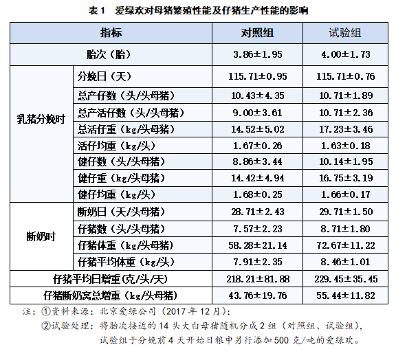 博猫游戏