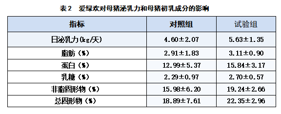 博猫游戏