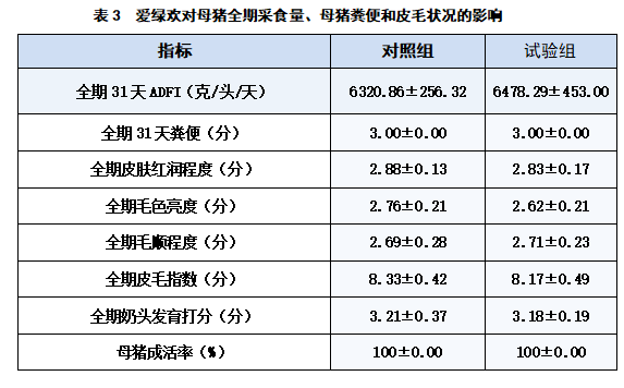 博猫游戏