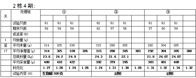 博猫游戏