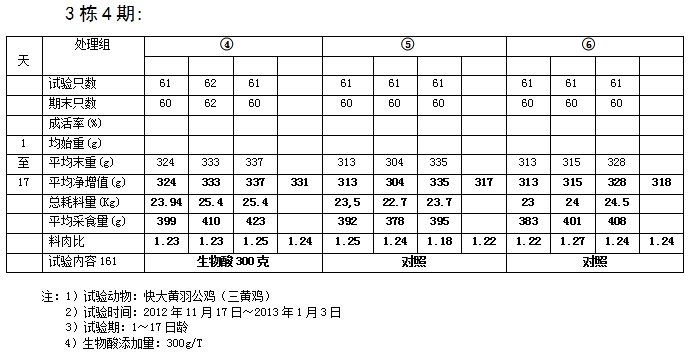 博猫游戏