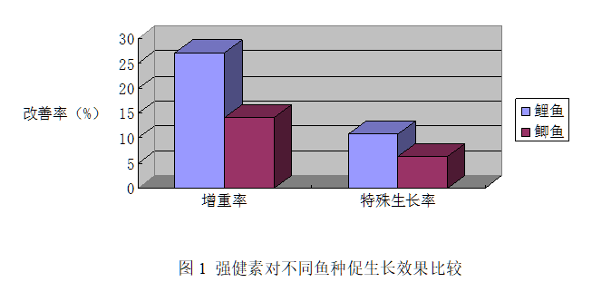 博猫游戏