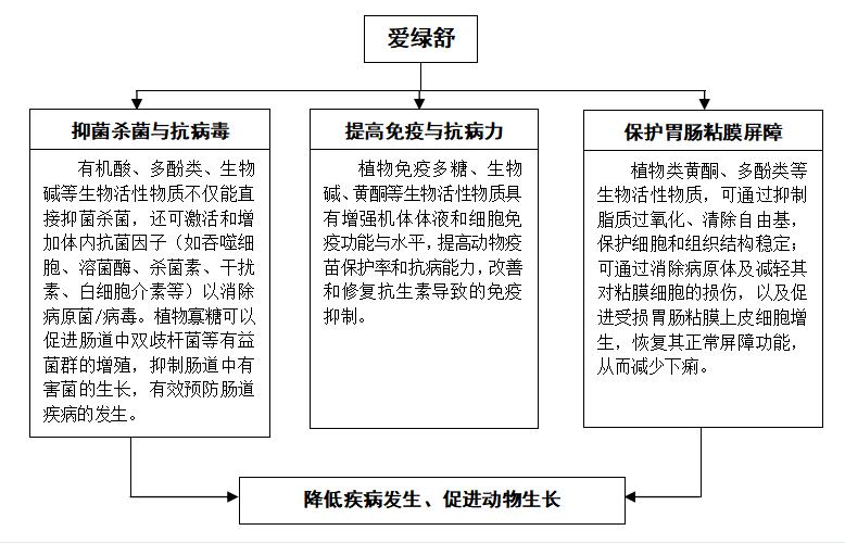 博猫游戏
