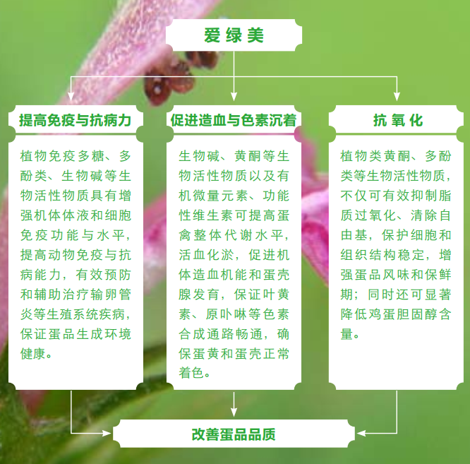 博猫游戏