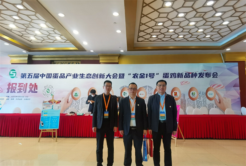 博猫游戏