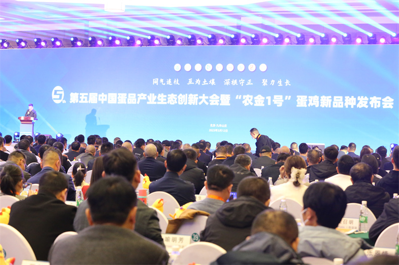 博猫游戏·(中国)官网登录入口